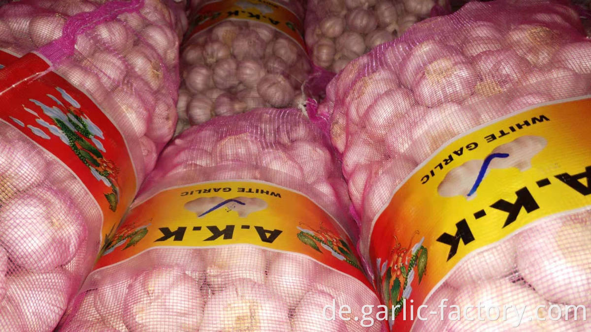 shandong fresh garlic with low price for wholesale